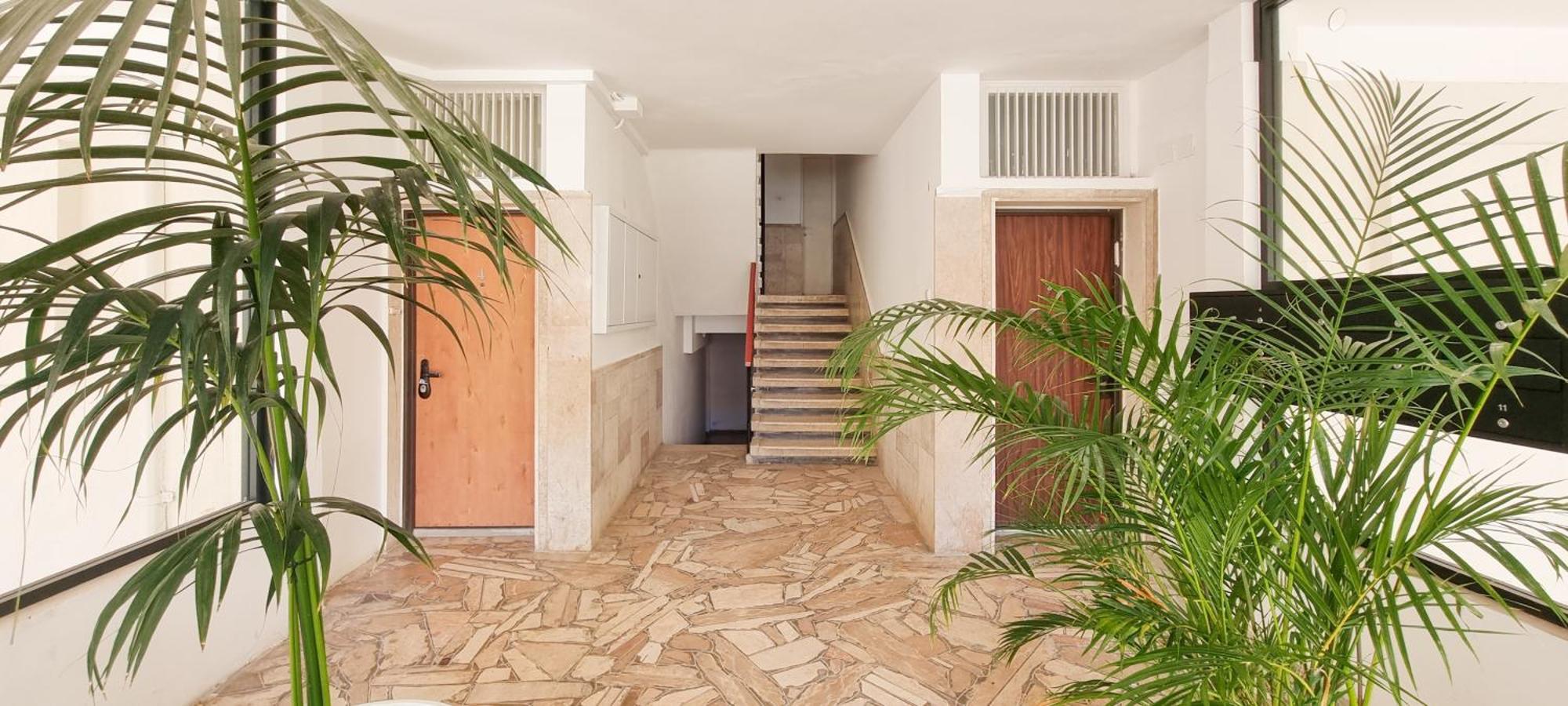 Bnb Israel Apartments - Harav Kook Lilas 特拉维夫 外观 照片